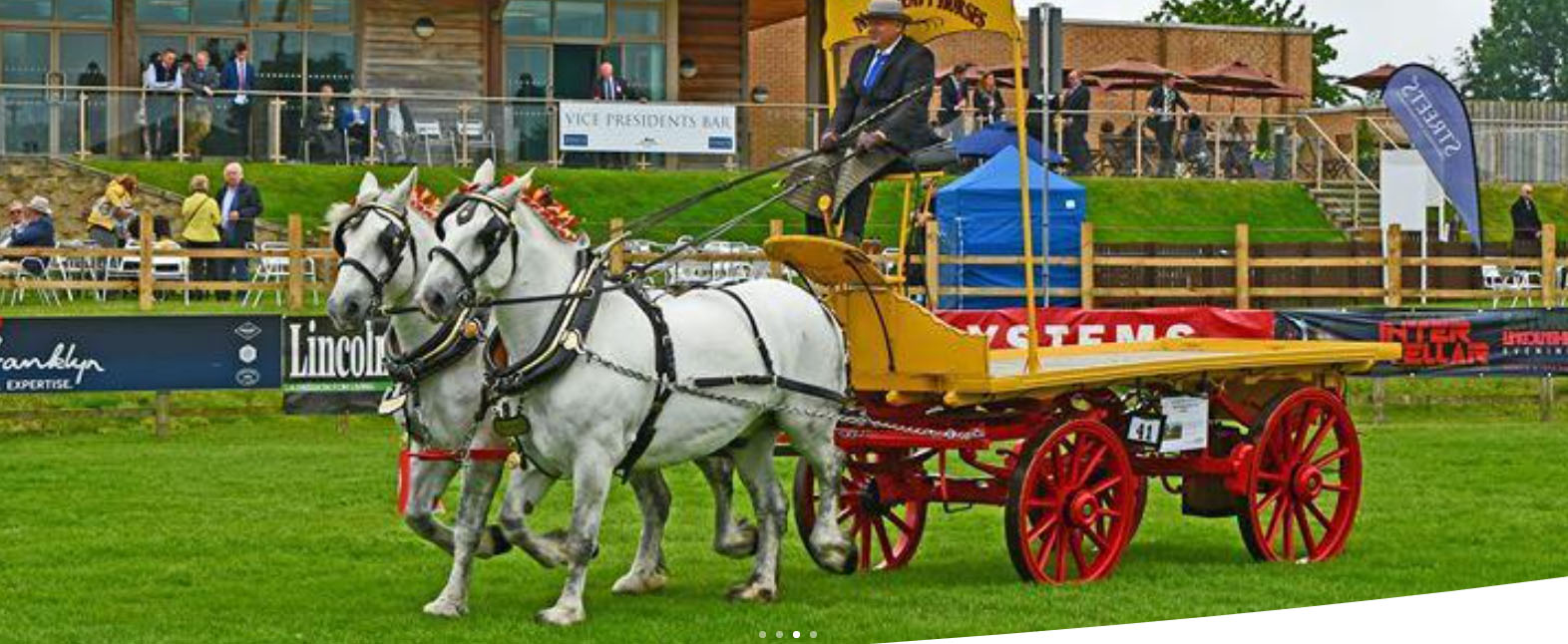 N & J Heavy Horses